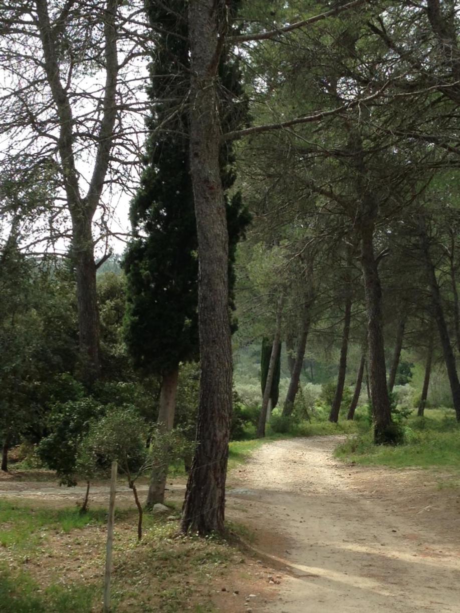 Cabane De La Leque ฟองต์วิลเย ภายนอก รูปภาพ